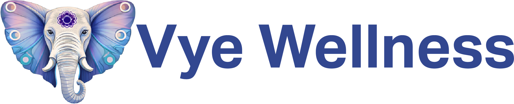 VYE Wellness footer v2