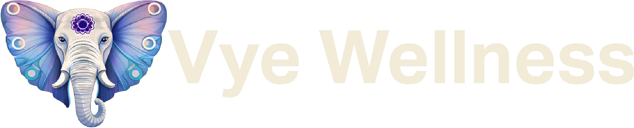 Vye wellness header v3